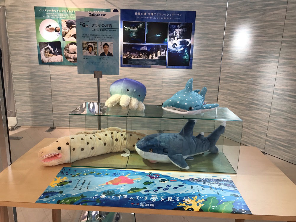 阪神梅田本店 金魚と海のいきもの展2019 ようこそ カワイイ海の世界へ が開催中です 7 3 7 9 大阪キタじゃーなる