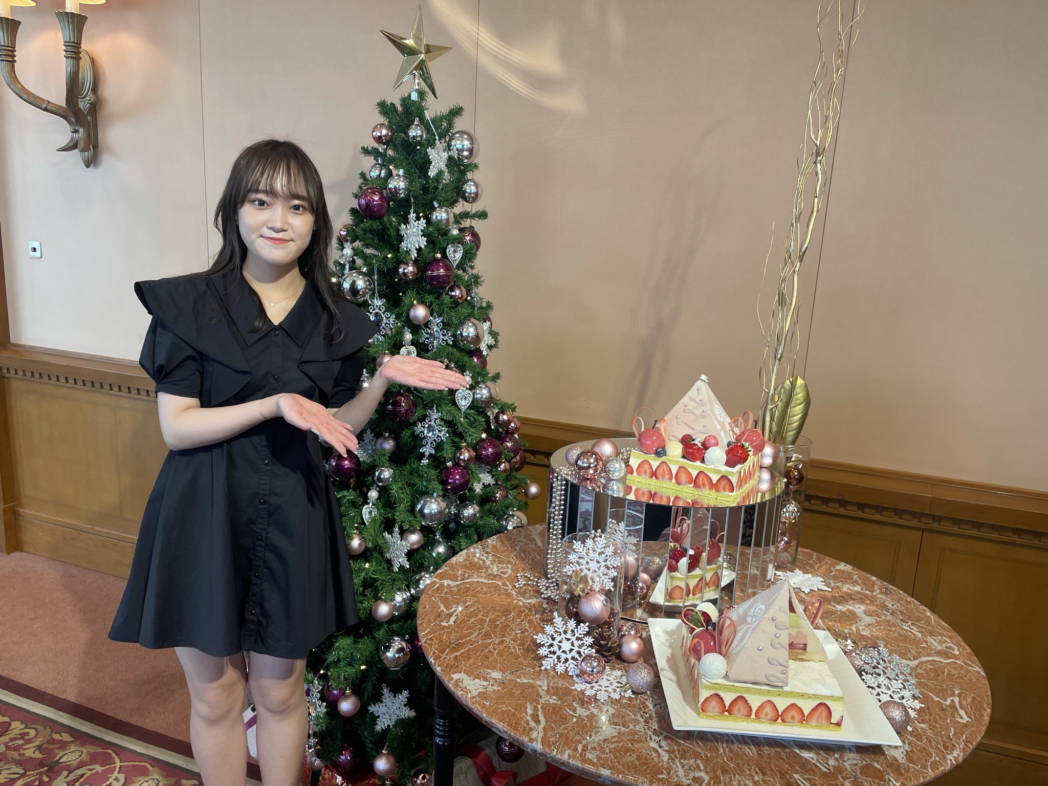 Imperial Christmas 21 帝国ホテル 大阪のクリスマスケーキ の予約が開始 10 12 14 大阪キタじゃーなる