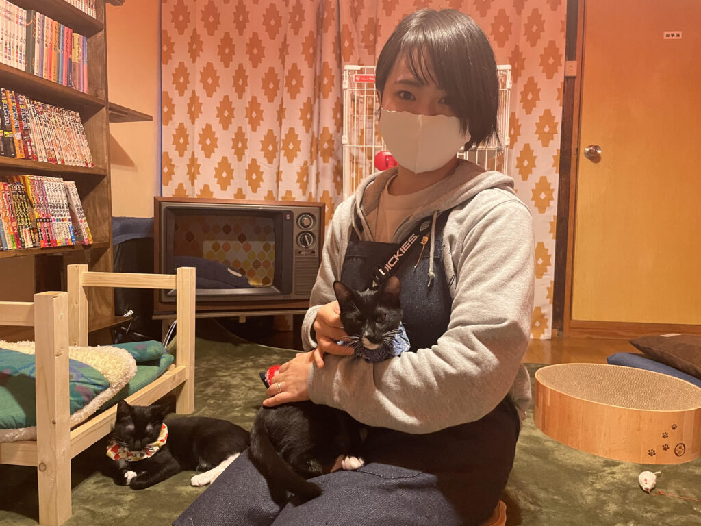 猫に囲まれながら漫画を読んでの んびり 保護猫カフェ ねこのたつき オープン 11 28 大阪キタじゃーなる